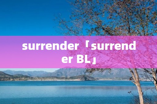 surrender「surrender BL」