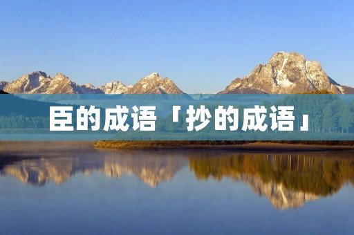 臣的成语「抄的成语」