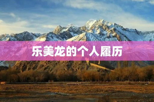 乐美龙的个人履历