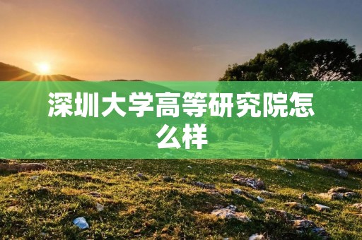 深圳大学高等研究院怎么样