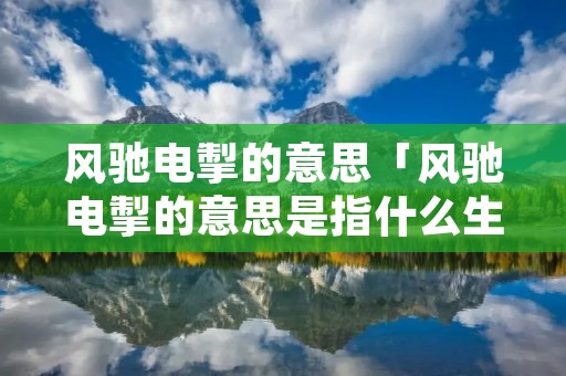 风驰电掣的意思「风驰电掣的意思是指什么生肖」