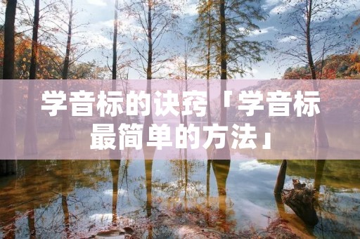 学音标的诀窍「学音标最简单的方法」