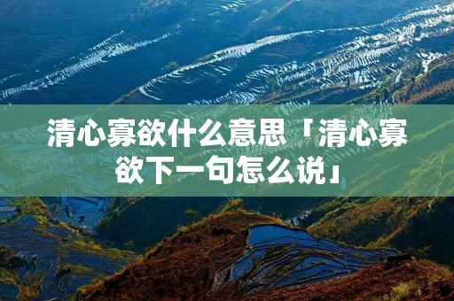 清心寡欲什么意思「清心寡欲下一句怎么说」