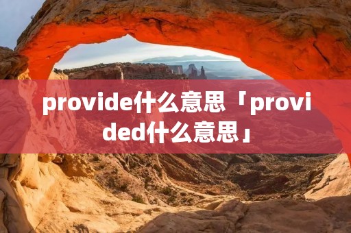 provide什么意思「provided什么意思」