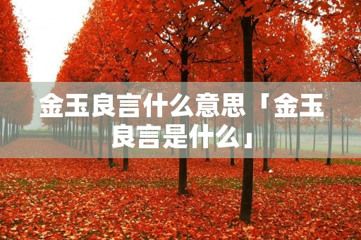 金玉良言什么意思「金玉良言是什么」