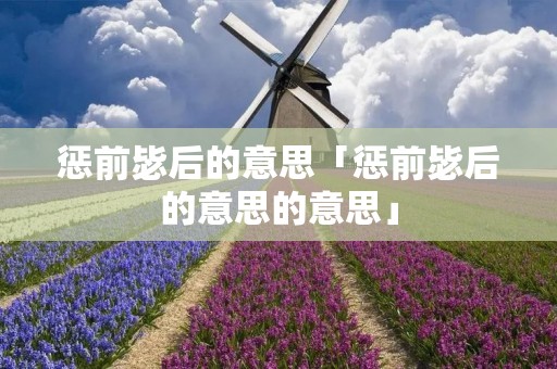惩前毖后的意思「惩前毖后的意思的意思」