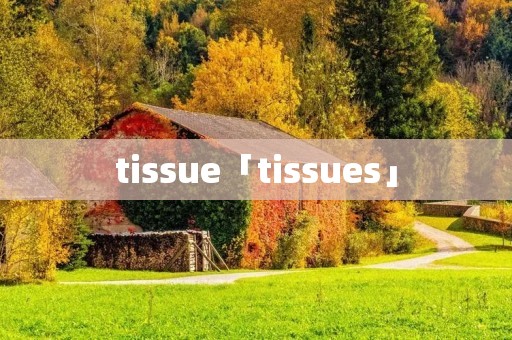 tissue「tissues」 tissue「tissues」