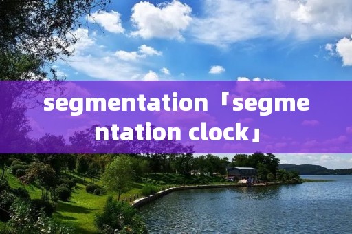 segmentation「segmentation clock」 segmentation「segmentation clock」