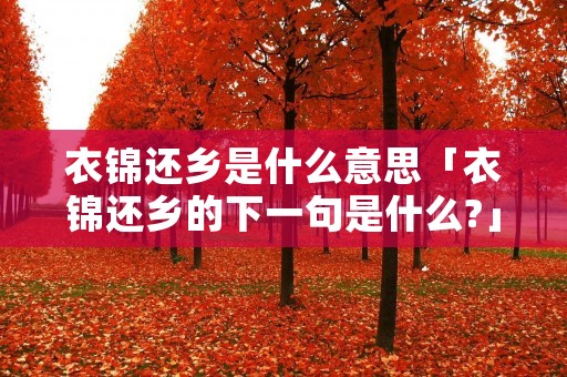 衣锦还乡是什么意思「衣锦还乡的下一句是什么?」