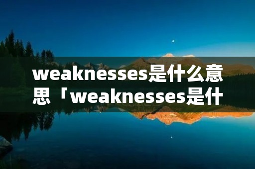 weaknesses是什么意思「weaknesses是什么意思中文」