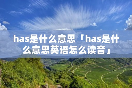 has是什么意思「has是什么意思英语怎么读音」