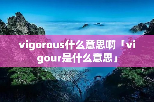 vigorous什么意思啊「vigour是什么意思」
