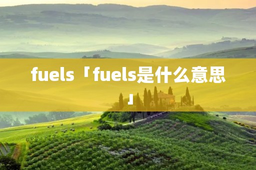 fuels「fuels是什么意思」