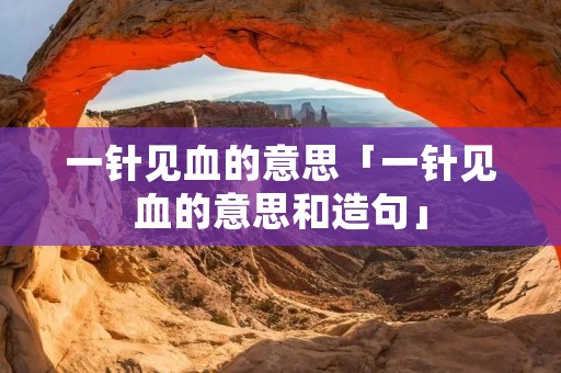 一针见血的意思「一针见血的意思和造句」