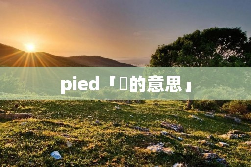 pied「暼的意思」