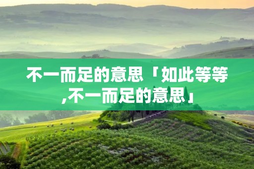 不一而足的意思「如此等等,不一而足的意思」
