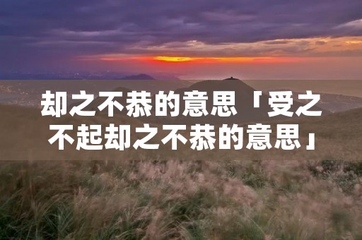 却之不恭的意思「受之不起却之不恭的意思」