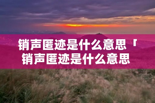 销声匿迹是什么意思「销声匿迹是什么意思 百度网盘」