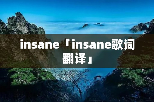 insane「insane歌词翻译」