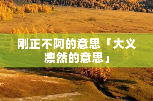 刚正不阿的意思「大义凛然的意思」