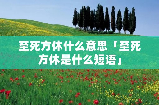 至死方休什么意思「至死方休是什么短语」