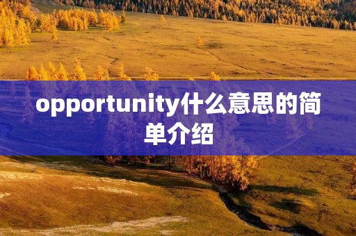 opportunity什么意思的简单介绍 opportunity什么意思的简单介绍