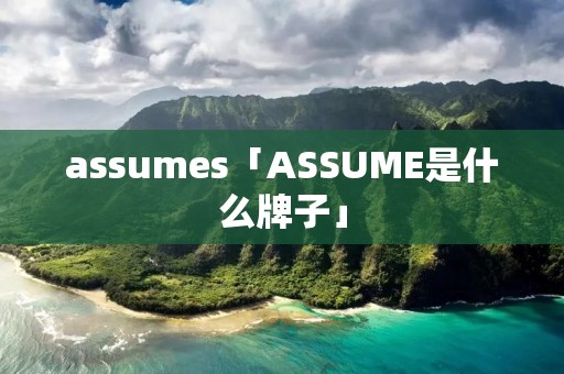 assumes「ASSUME是什么牌子」