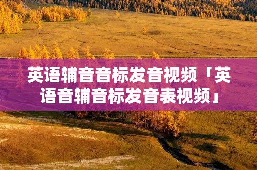 英语辅音音标发音视频「英语音辅音标发音表视频」 英语辅音音标发音视频「英语音辅音标发音表视频」