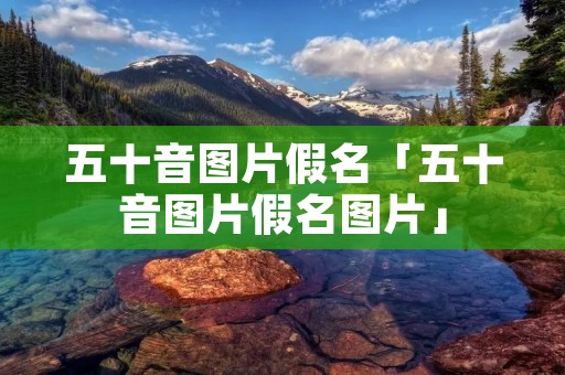 五十音图片假名「五十音图片假名图片」