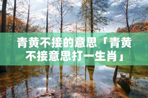 青黄不接的意思「青黄不接意思打一生肖」