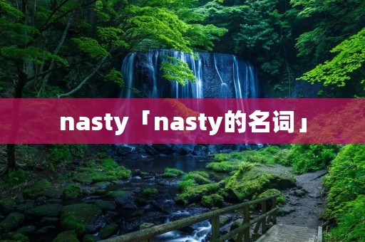 nasty「nasty的名词」