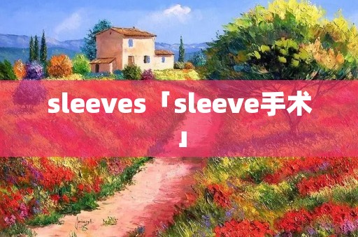sleeves「sleeve手术」