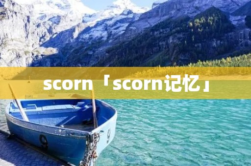 scorn「scorn记忆」