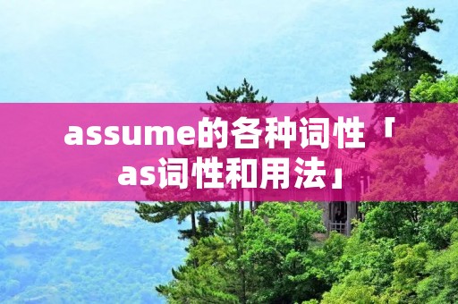 assume的各种词性「as词性和用法」