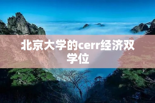 北京大学的cerr经济双学位