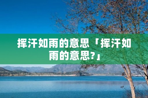 挥汗如雨的意思「挥汗如雨的意思?」
