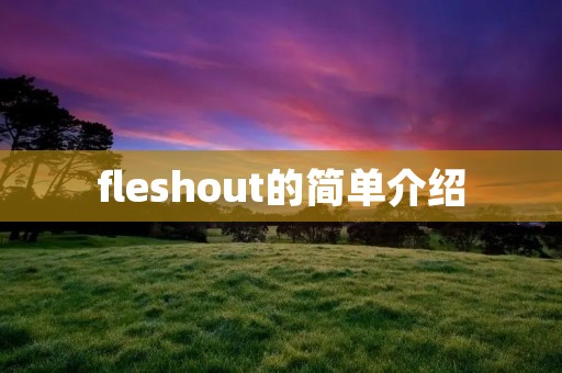 fleshout的简单介绍 fleshout的简单介绍