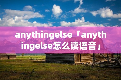 anythingelse「anythingelse怎么读语音」