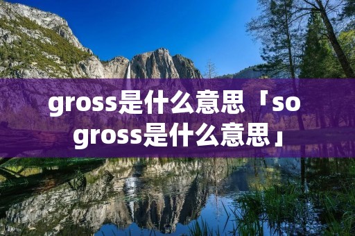 gross是什么意思「so gross是什么意思」