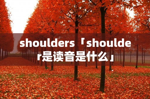 shoulders「shoulder是读音是什么」