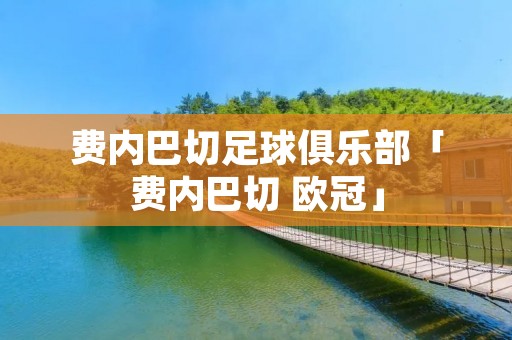 费内巴切足球俱乐部「费内巴切 欧冠」