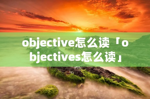 objective怎么读「objectives怎么读」