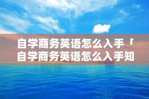 自学商务英语怎么入手「自学商务英语怎么入手知乎」