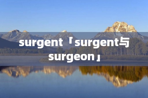 surgent「surgent与surgeon」