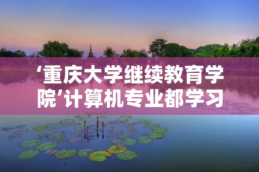 ‘重庆大学继续教育学院’计算机专业都学习些什么啊?