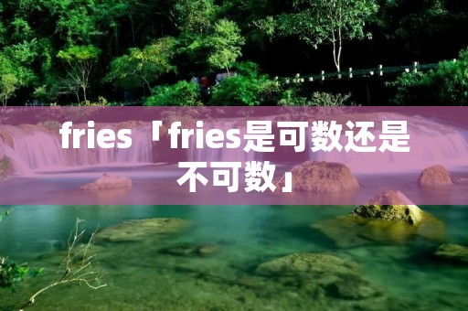fries「fries是可数还是不可数」