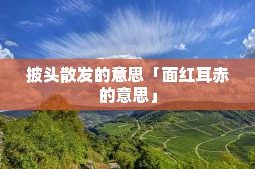 披头散发的意思「面红耳赤的意思」