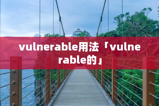 vulnerable用法「vulnerable的」