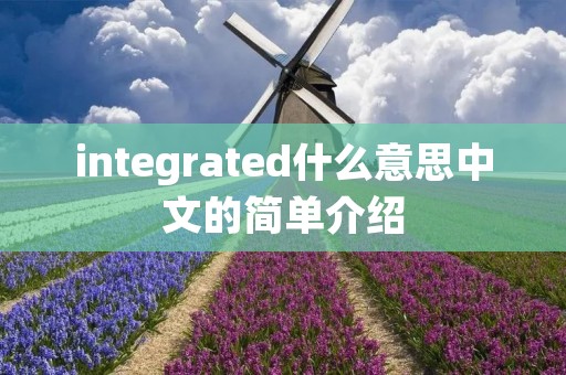 integrated什么意思中文的简单介绍