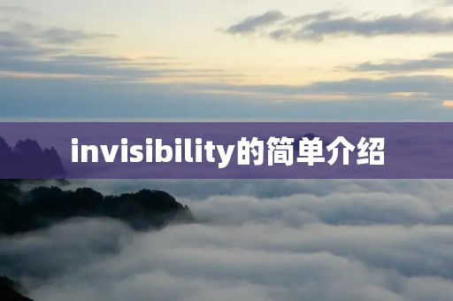 invisibility的简单介绍